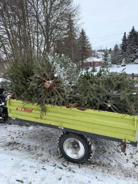 Ein grüner Anhänger mit Weihnachtsbaumresten im Schnee.