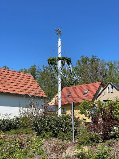 Traditioneller Maibaum mit grüner Dekoration vor Wohnhäusern und blauem Himmel.