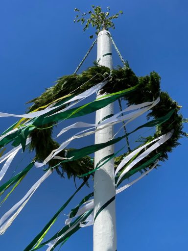 Ein geschmückter Maibaum mit grünen und weißen Bändern vor blauem Himmel.