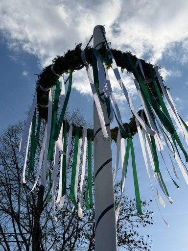 Bunter Maibaum mit grünen und weißen Bändern vor einem blauen Himmel.